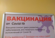 Директор НИЦ эпидемиологии и микробиологии имени Гамалеи Александр Гинцбург сообщил журналистам, что в центре начали разработку вакцины, которая защитит от новых штаммов коронавируса