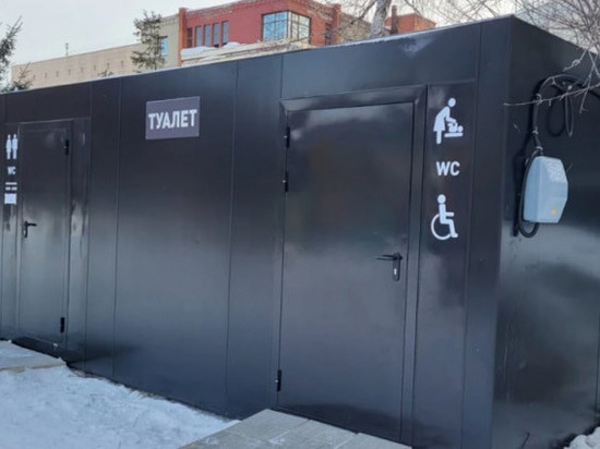В Центральном парке Новосибирска открыли туалет в черном контейнере