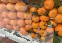 Управление Роспотребнадзора по Тульской области сообщило о результатах мониторинга пищевой продукции в торговых сетях города