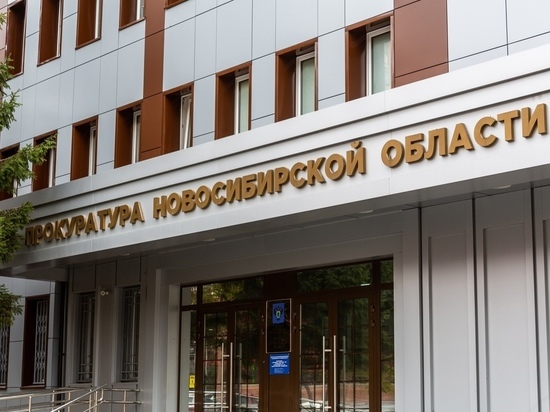 Прокуратура сообщила подробности избиения 16-летней школьницы в Новосибирске