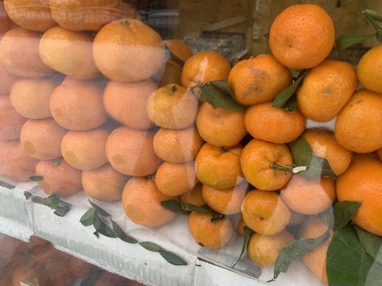 В Тульской области нашли небезопасные апельсины из Турции