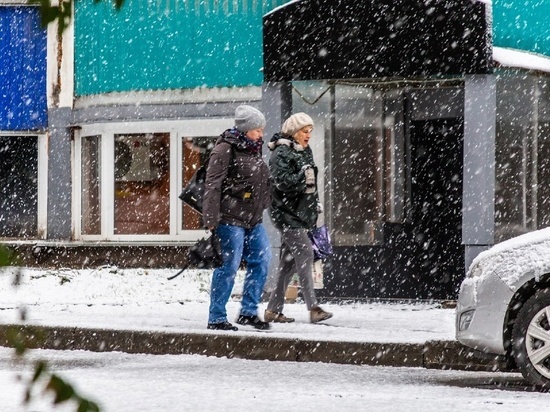 Снег и сильный ветер ожидаются в Новосибирске 14 января