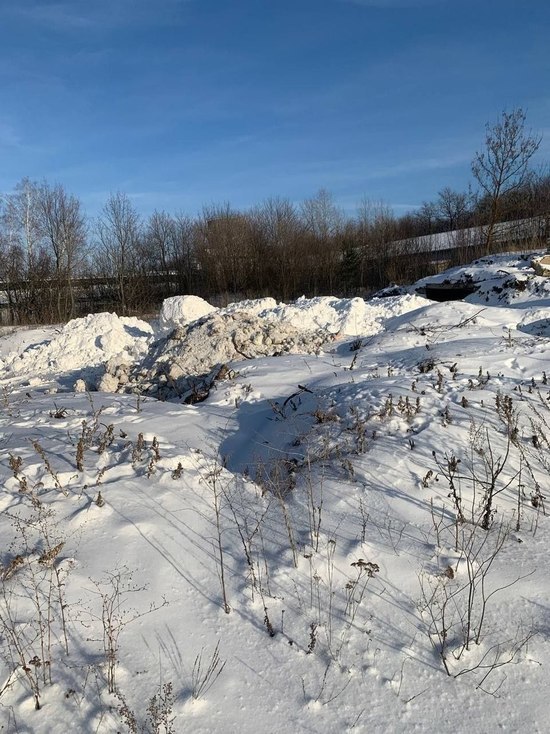 В Пензе обнаружили незаконную свалку снега