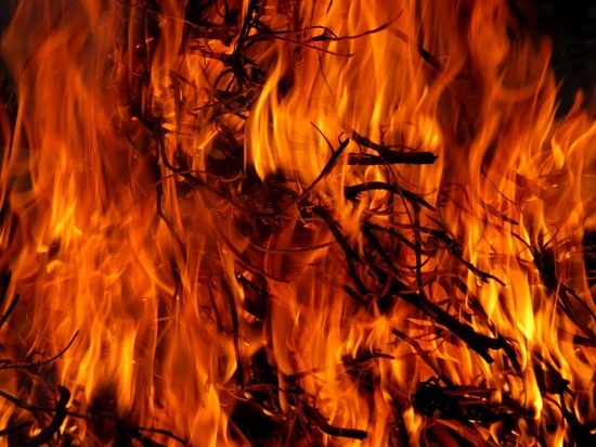Раскрыта возможная причина пожара в Приозерском районе, где погибли два ребенка