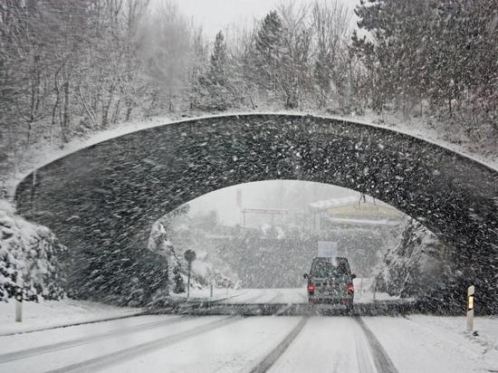 Сильный ветер два дня будет бушевать в Карелии