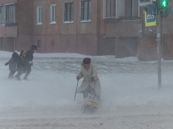 Шквалистый ветер и снег с дождём гонит в Псковскую область циклон
