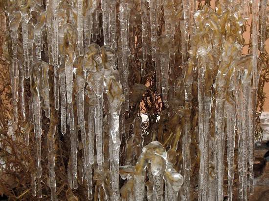 Каскад неземных сосулек появился на реке в Подмосковье