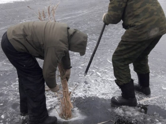 В Тамбовской области белому амуру создают условия для зимовки