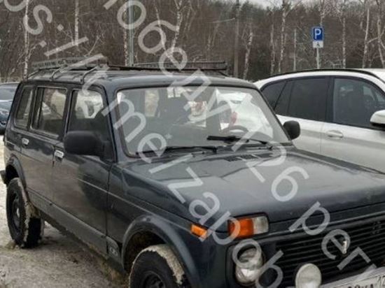 На Ставрополье медики краевой больницы собрали деньги на автомобиль для СВО