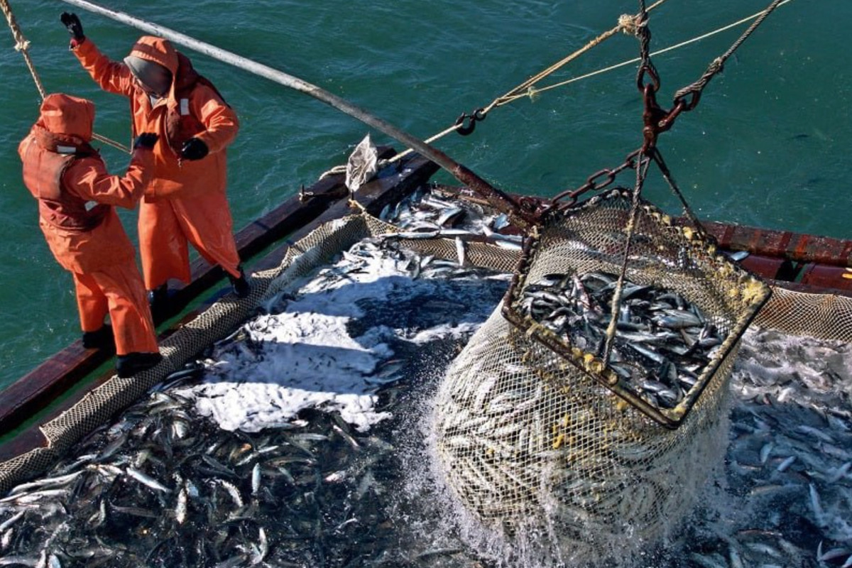 Промысел в охотском море