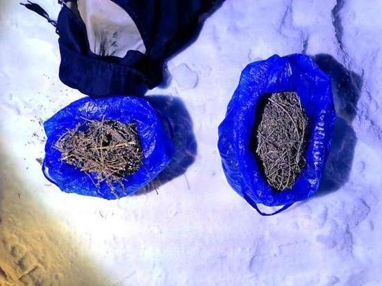 В брошенном у дороги рюкзаке в Бурятии обнаружили почти полкило наркотиков