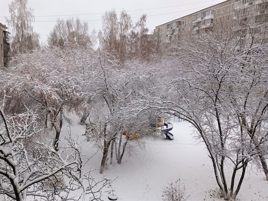 Теплую погоду обещают на текущей неделе в Свердловской области