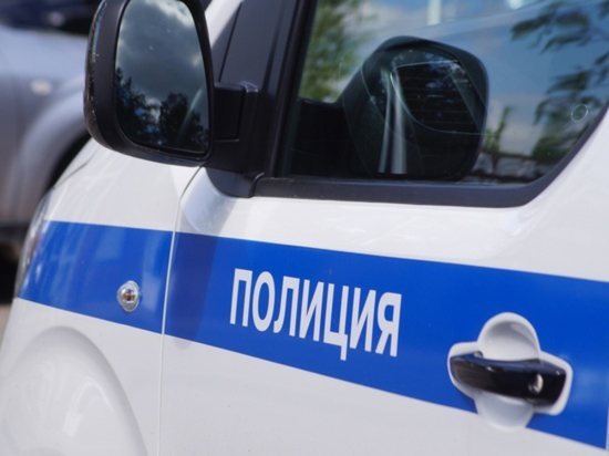 Омские полицейские нашли сбившего 14-летнюю девочку водителя