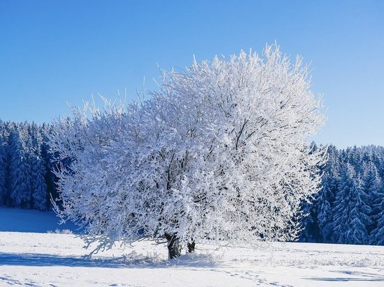 Тишковец рассказал, какой будет вторая половина зимы в Центральной России