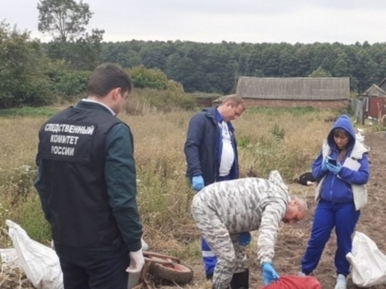 В Курской области пенсионер осужден на 13 лет за убийство своих соседей