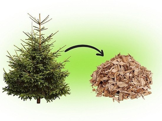 Ставропольцам предлагают сдать елки в переработку