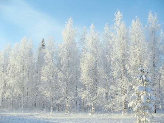 В Якутии морозы побили тридцатилетний рекорд