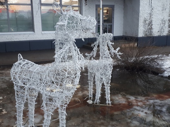 Вандалы обломали рога новогодней инсталляции в виде оленей в Печорах