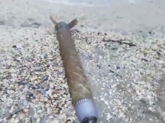 Фрагмент ракеты ЗРПК «Панцирь-С1» нашли на пляже в Румынии