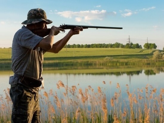 В Томской области зарегистрировано более 50 тысяч охотников