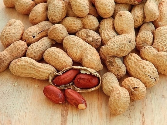 Россельхознадзор проконтролировал ввоз более 18 тонн арахиса из Аргентины в Тамбовскую область