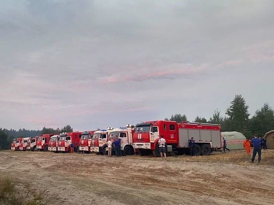 Рязанская область закупит 200 единиц техники для борьбы с лесными пожарами
