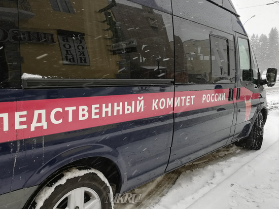 СК проверит сообщение СМИ о выгнанном из маршрутки мальчике в Чите