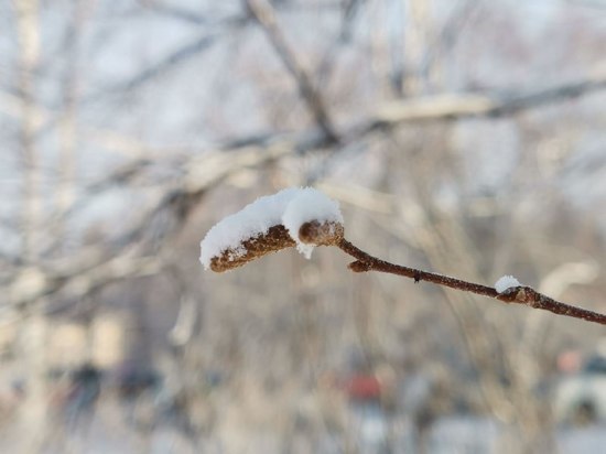 В Еврейской автономии установится аномально холодная погода