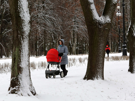 В Великом Новгороде вынесли приговор женщине, виновной в сходе снега на маму с ребенком