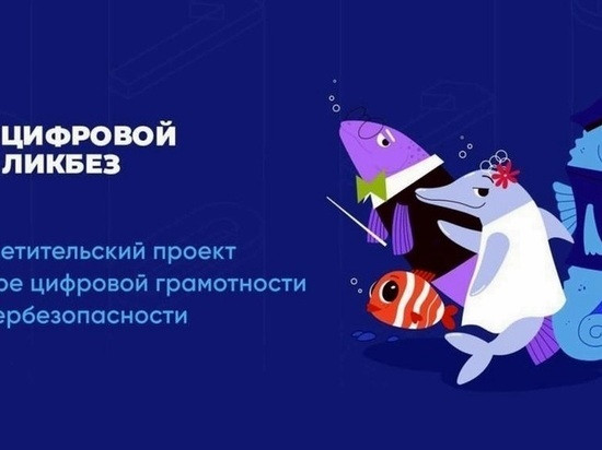 Владимирцев приглашают к участию в «Цифровом ликбезе»