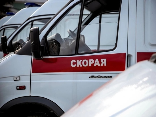 В Тверской области выявлен новый вирус H1N1 pdm09
