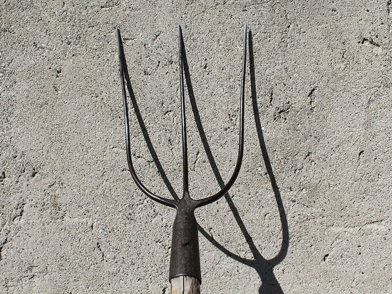 Пенсионер из Донецка напал с вилами на соседку из-за срезанных веток