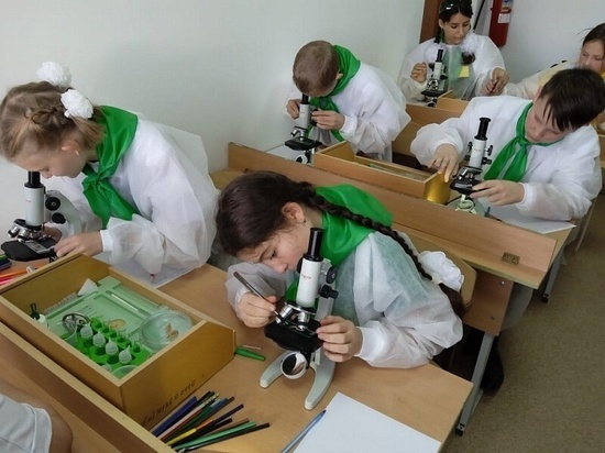В Краснодарском крае откроют 67 «Точек роста» и школьный «Кванториум»