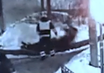 Удалением одного яичка обернулась игра в снежки для 29-летнего жителя Железнодорожного