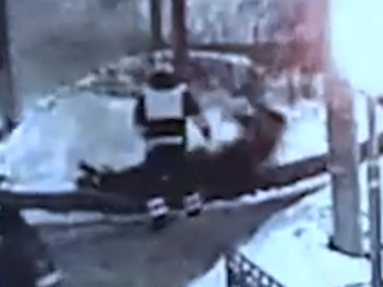 Закидавшему полицейскую машину снежками жителю Железнодорожного впоследствии удалили яичко