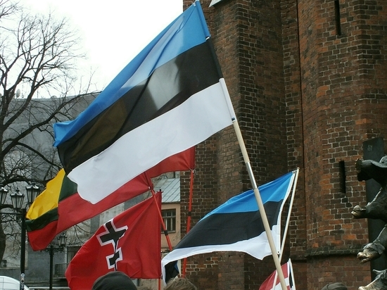 В Эстонии пройдет встреча глав Минобороны стран, поддерживающих Украину