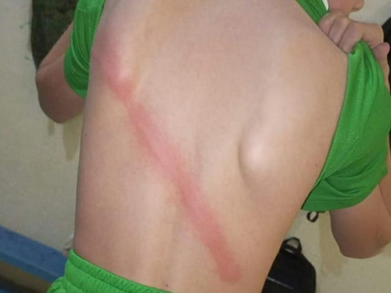 Губернатор прокомментировал "воспитание" плетью кадета в Ставрополе