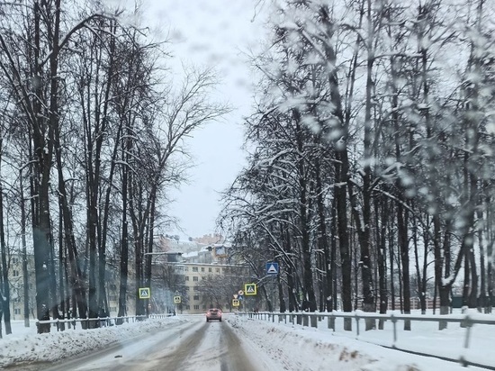 На Орловскую область 18 января обрушится ледяной дождь