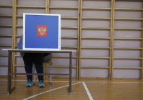 В Петербурге начали готовиться к выборам муниципальных депутатов, эта избирательная кампания будет первой для города в этом году.