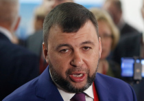 Врио главы ДНР Денис Пушилин прокомментировал сообщения, которые, по его словам, появились в ряде телеграм-каналов и у некоторых военкоров