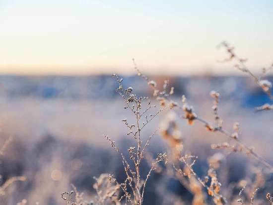 В Астраханской области 18 января потеплеет до +3 градусов