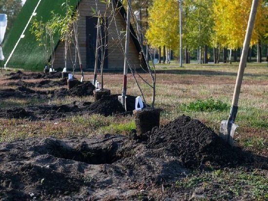 В Калачинском районе Омской области посадят «Сад Памяти»