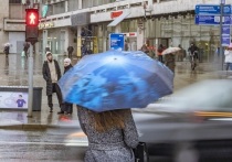 По данным Гидрометцентра России, в Москве и Московской области объявили «желтый уровень» погодной опасности