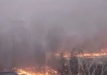 В соцсетях появилось видео последствий падения вертолета в Киевской области
