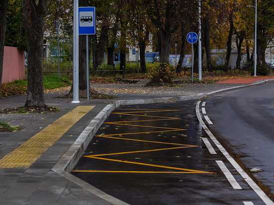 В Калининградской области на 14% снизилась смертность на дорогах