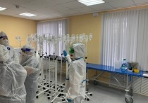 По данным оперативного штаба по борьбе с коронавирусной инфекцией, в Тульской области с 17 по 18 января было выявлено 25 новых случаев заражения