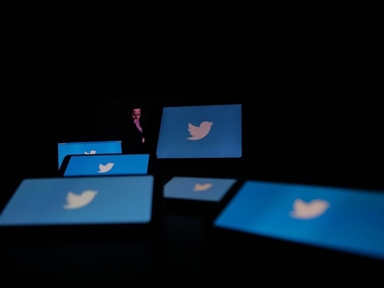 СМИ: ежедневный доход Twitter сократился на 40% по сравнению с 2022 годом