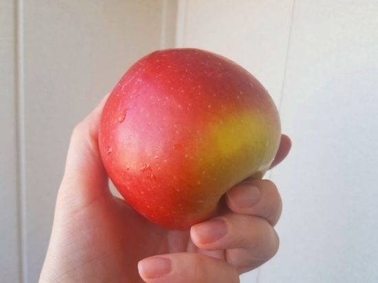 Из Кабардино-Балкарии значительно возросли поставки яблок