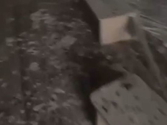 Окровавленные кроватки, уничтоженная елка: опубликовано видео из детсада, на который упал вертолет МВД Украины