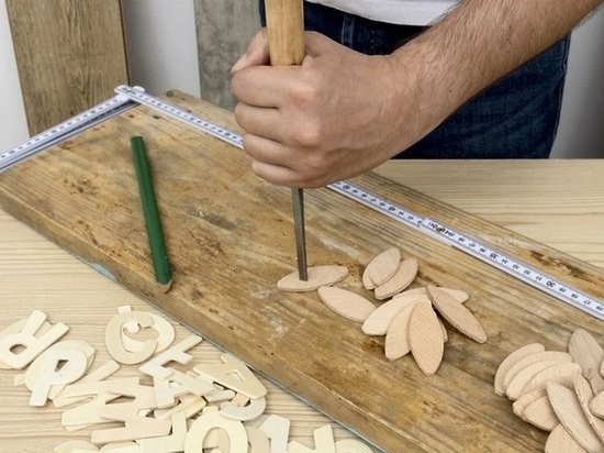 Шкипер, сукновал: самые редкие и необычные вакансии названы в Подмосковье